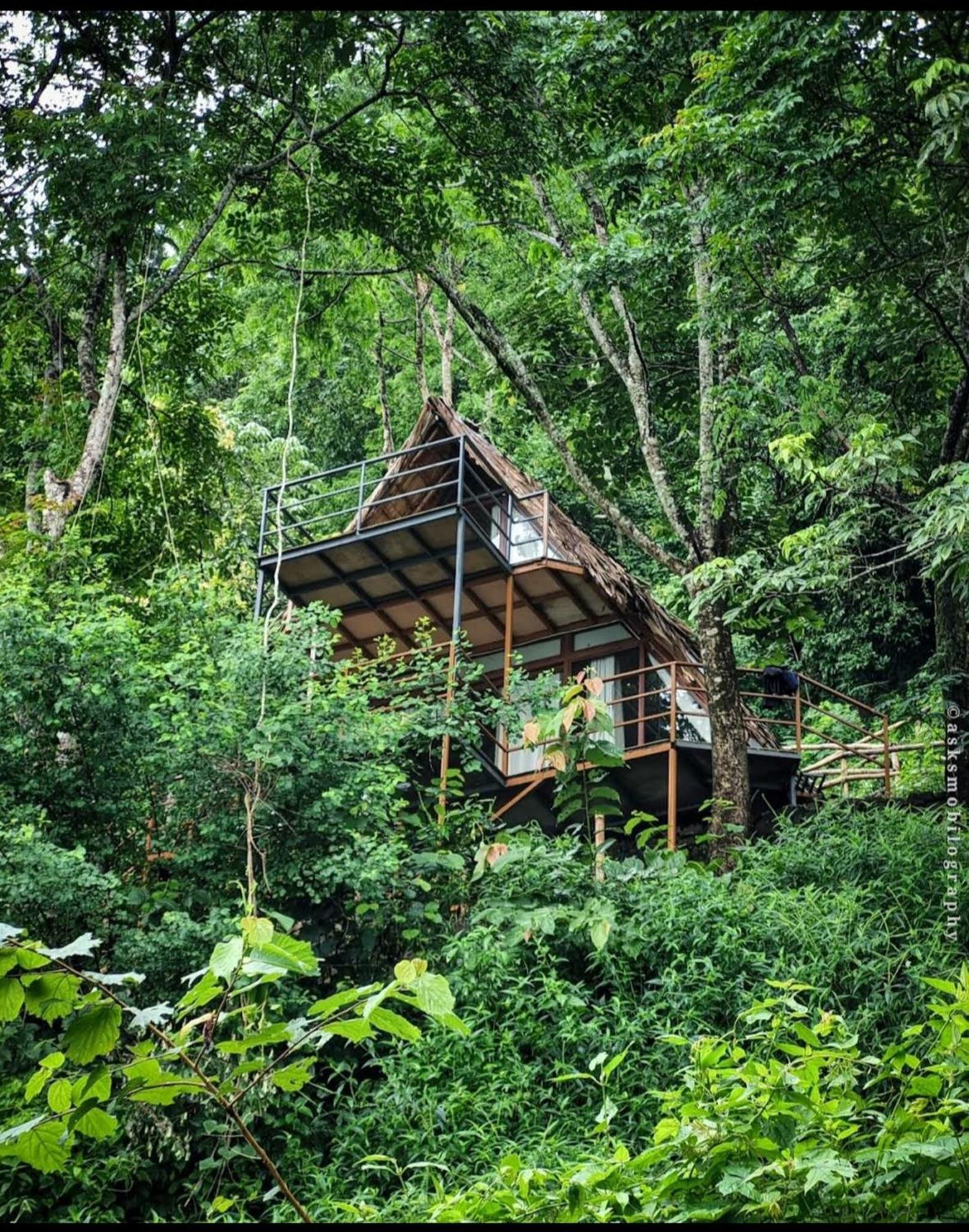 Sunset Valley Kerala Pool Resort - Serene Natural Forest Cottage Stay In Idukki With Sunrise & Sunset Panoramas, Natural Streams & Tranquil Summer Evenings Pīrmed Esterno foto