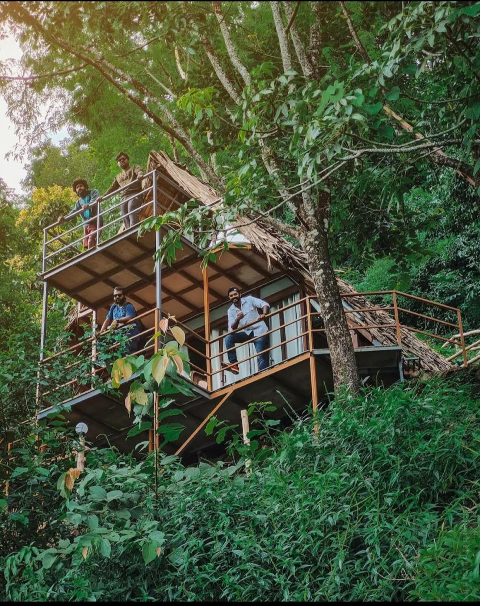 Sunset Valley Kerala Pool Resort - Serene Natural Forest Cottage Stay In Idukki With Sunrise & Sunset Panoramas, Natural Streams & Tranquil Summer Evenings Pīrmed Esterno foto