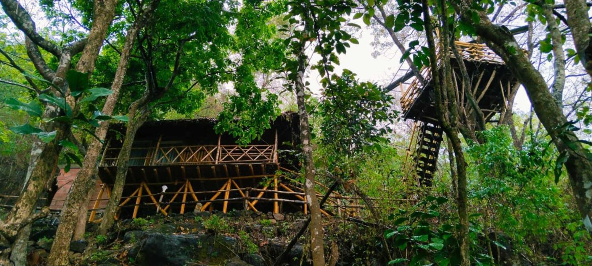 Sunset Valley Kerala Pool Resort - Serene Natural Forest Cottage Stay In Idukki With Sunrise & Sunset Panoramas, Natural Streams & Tranquil Summer Evenings Pīrmed Esterno foto