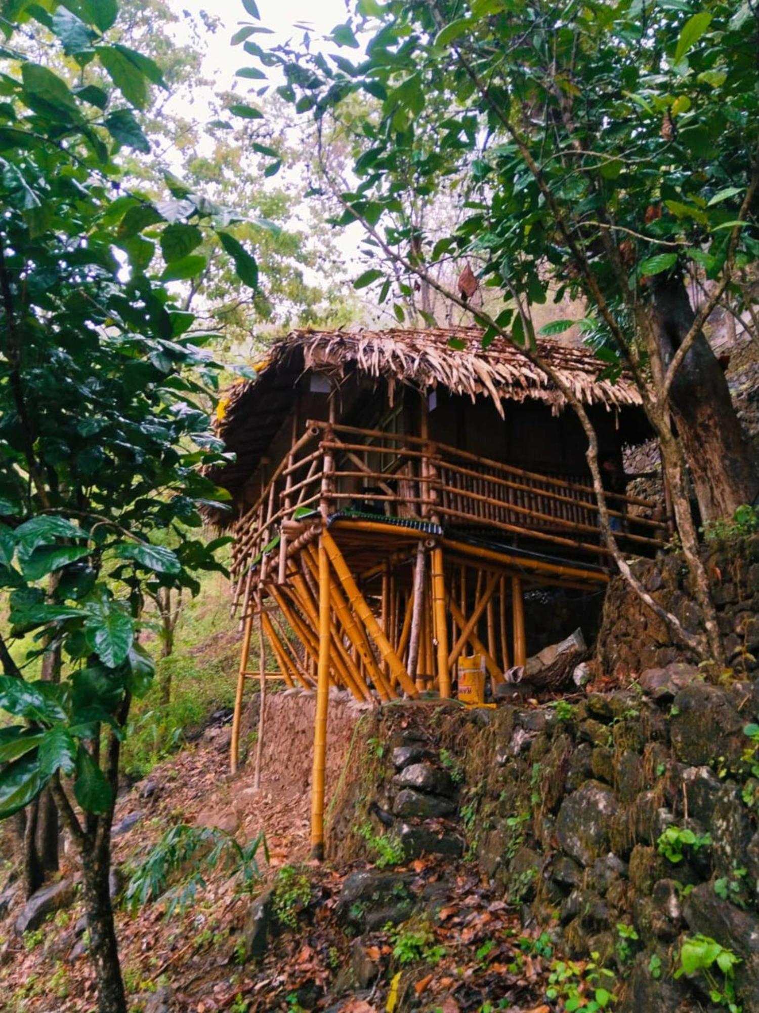 Sunset Valley Kerala Pool Resort - Serene Natural Forest Cottage Stay In Idukki With Sunrise & Sunset Panoramas, Natural Streams & Tranquil Summer Evenings Pīrmed Esterno foto